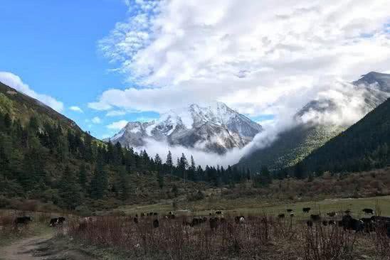 无色无味的生活太枯燥，我们一起走四季芳华，品本色四味