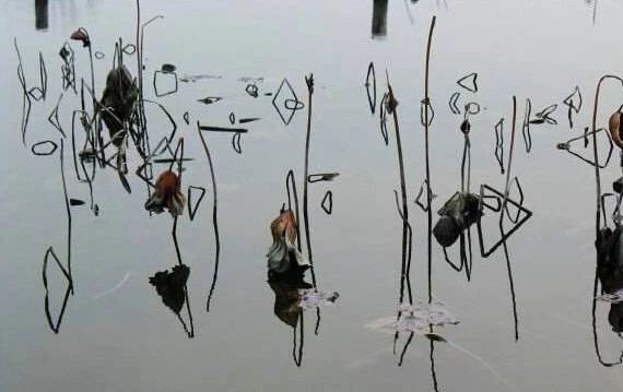 “比亚迪“最新资讯都在这了，就等你来