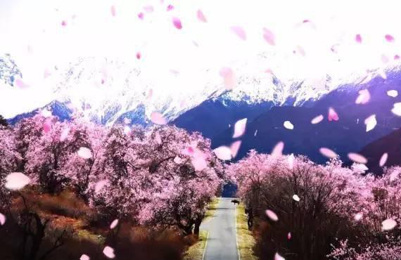 为什么去川藏线自驾要选择专业车队?