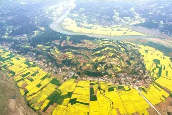 绵阳这个自驾野炊圣地！已花开成海！还有神秘清代石窟……