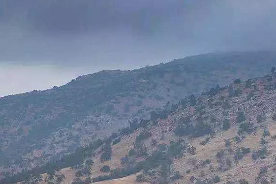 雅凯之争，十代雅阁出师未捷销量暴跌