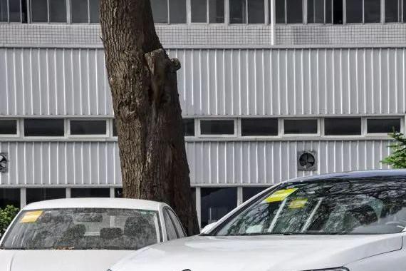 想要更长的车？30万内就要这5款车，轴距全超2米8！