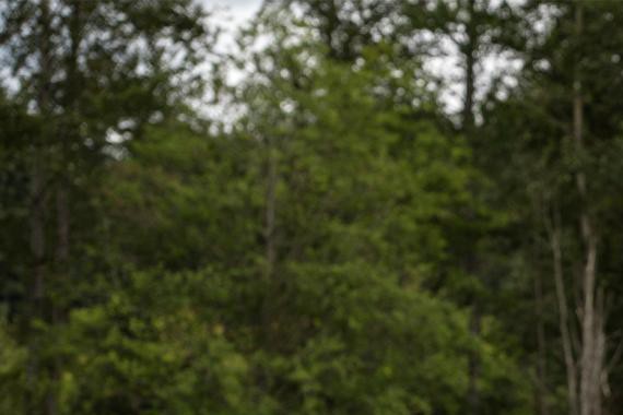 “英菲尼迪“有新的文章更新，请注意查收