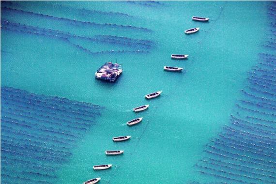 【风从海上来·改革进行时】助力新旧动能转换 威海奏响经略海洋强音