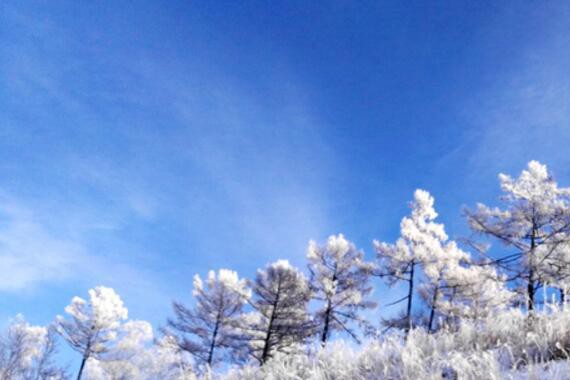 《旅行记》中国内的俄罗斯城市
