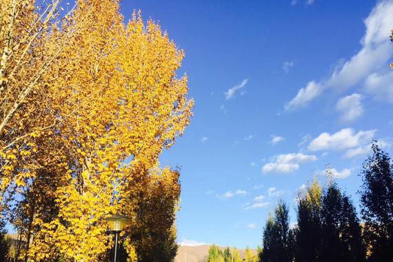 川藏线活动召集