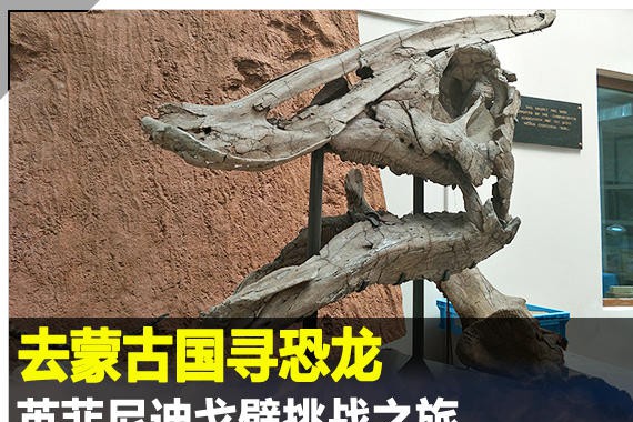 去蒙古国寻恐龙 英菲尼迪戈壁挑战之旅