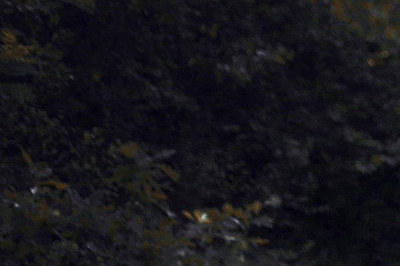 近期“30-50万德系中型车“动态汇总，都在这个专题里