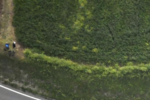 这里有“丰田“的最新资讯请不要错过