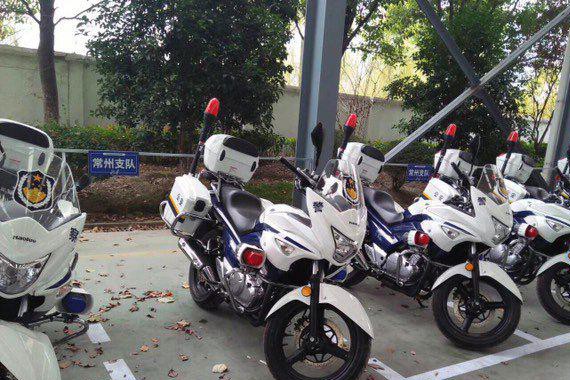 速递!新鲜的“铃木“资讯全在这，看我就够了