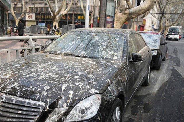 90%的车主不知道车身顽固污渍该如何处理