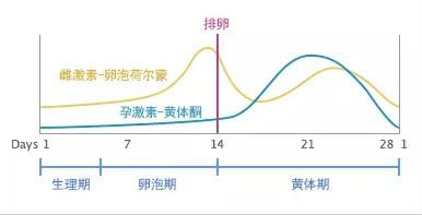 性欲 生理前