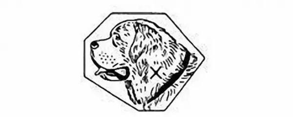 去哪修欧米茄--欧米茄官方指定维修服务中心