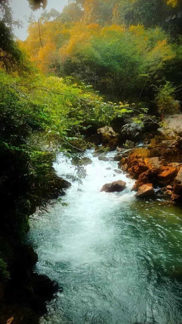 在山泉水清,出山泉水浊