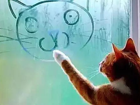 深冬车窗玻璃除雾应该开暖风还是冷风？