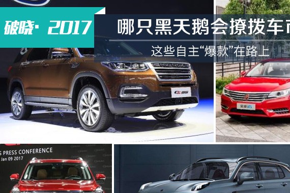 哪只黑天鹅会撩拨车市，这些自主“爆款”在路上
