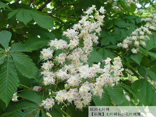 利高娱乐城送彩金