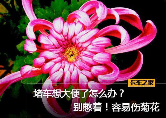 堵车想大便怎么办？ 别憋着 容易伤菊花