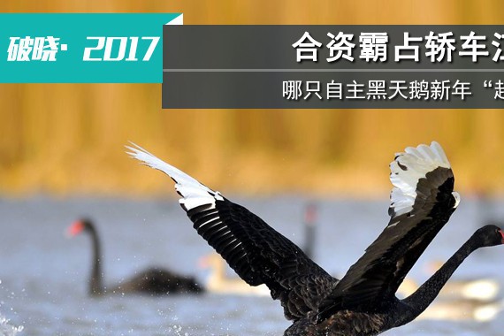 合资霸占轿车江湖 哪只自主黑天鹅新年“起舞”