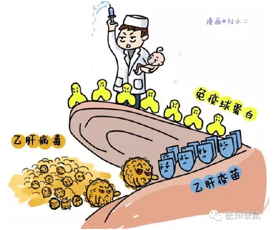 妈妈有乙肝,宝宝口粮还安全吗?|乙肝|宝宝|病毒