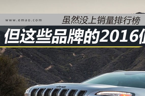 虽然上不了销量榜 但这些品牌值得点赞