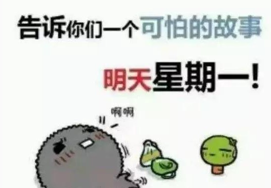 各种人事变动和启辰单飞，新年都换新面貌？