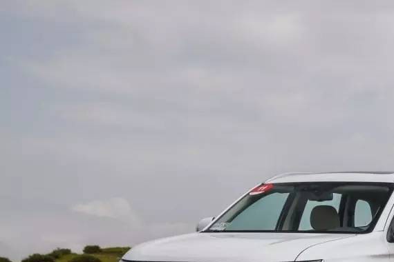 日系车不买？法系车设计奇葩？再这么想，你可能会错过不少好车！