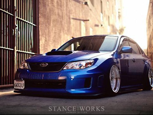 跑的豹子见多了，趴着跑的还真第一次见