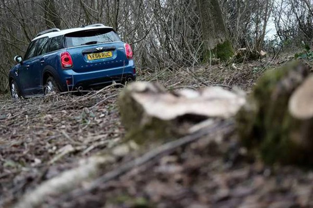 情人节丢下的烂摊子,怪我咯?