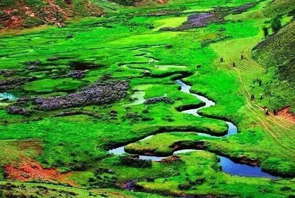 云南究竟拥有什么？ 竟能让王毅部长为之“代言”！