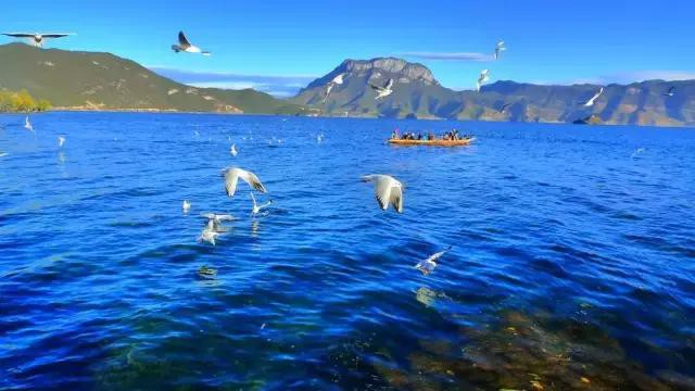 云南究竟拥有什么？ 竟能让王毅部长为之“代言”！