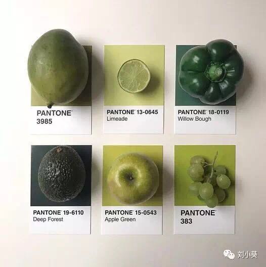 流行一整年 | 新的Pantone草木绿色难驾驭?试试穿上牛油果色~~