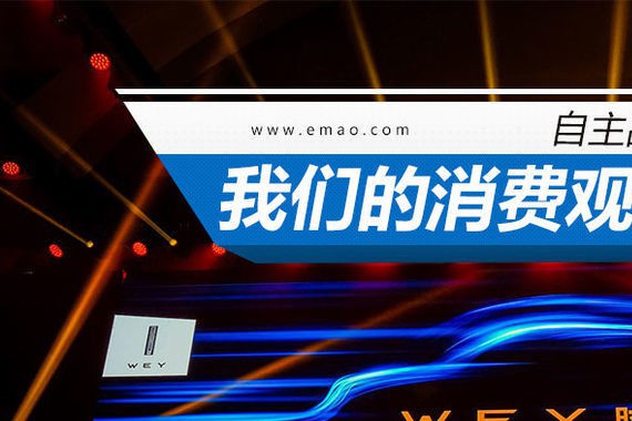 自主品牌齐向上 我们的消费观能跟得上？
