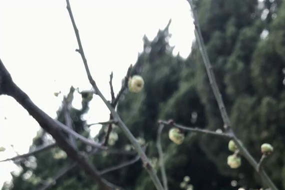 广汽传祺GS4配置升级诚意满满