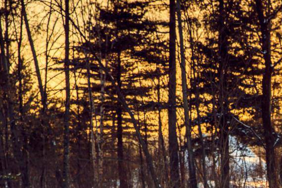 晒自主品牌二月成绩单，我们发现了大秘密