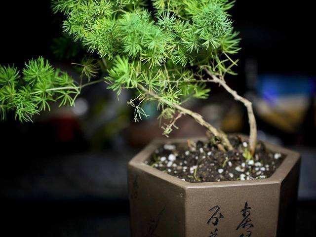 怎么设置财联社招财号开启