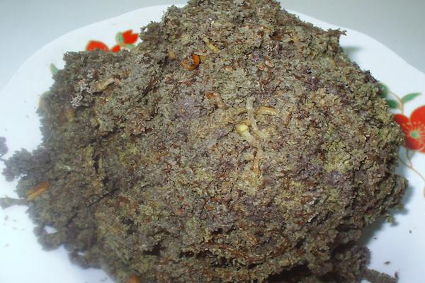 农村城市路边视而不见的美味,也能治拉肚子的