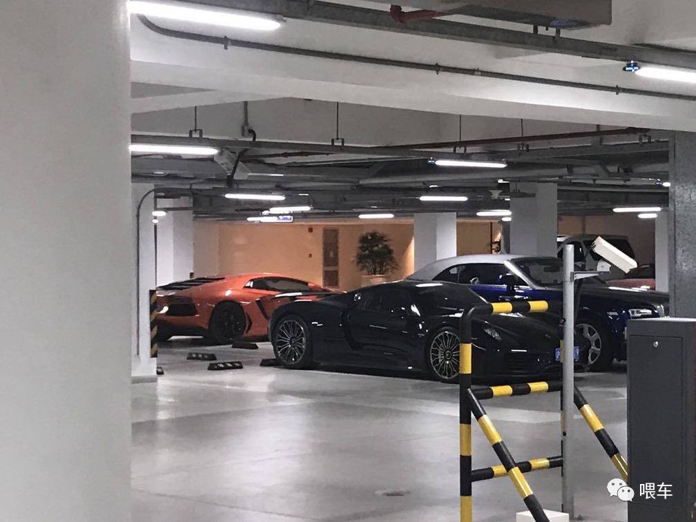 王思聪和秦奋的豪车对比,到底有多少豪车,谁更