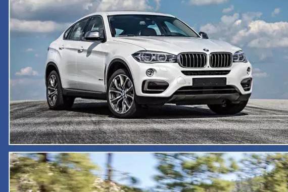 推荐的这两款车称得上是“两匹良驹”，可选性非常高