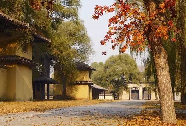 软禁皇帝三年的将军,却以勤政爱民流名后世