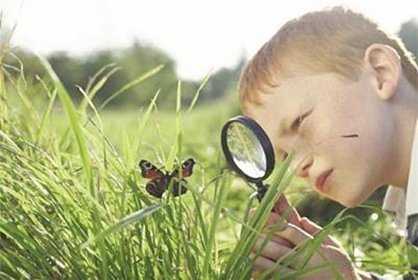 最新金融市场动向观察，淡水部长95究竟是啥？个人深度解析与观察