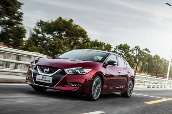 西玛扑街，生不逢时还是撩错G点？