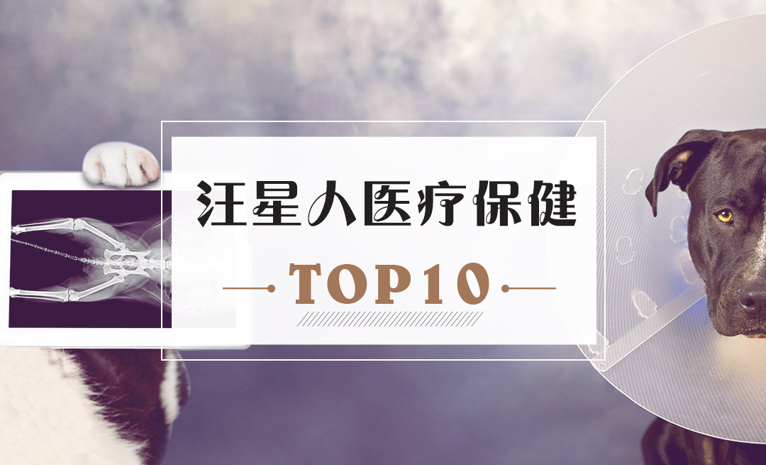 宠物营养膏品牌排行榜_2015年中国宠物保健品十大品牌排行榜