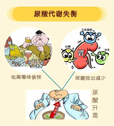 高尿酸是从哪里来?如何治疗?