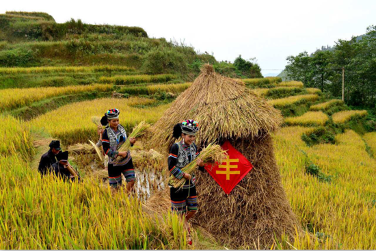 大米这么卖就对了，农业电商得这么玩！