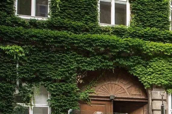 就算是劳斯莱斯，也只有5台车在圆石滩上赢了奖