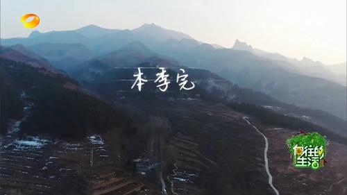 向往的生活嘉宾日记曝光,满满的都是感动!