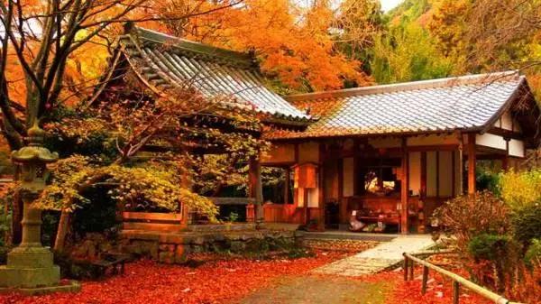 这回我们去日本,来次不一样的慢旅行。