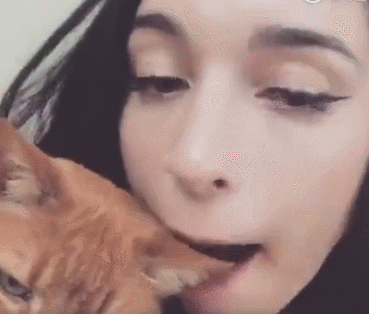 被主人咬耳朵的时候,猫咪正依偎在主人的怀里,突然这么被主人给咬了