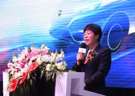 MPV中的“战斗鸡” 北京伽途im8全球发布